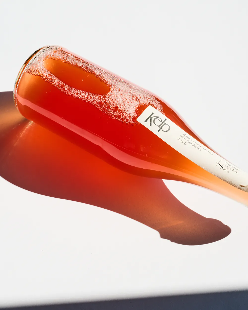 A bottle of dulse kombucha lying on its side in the sun