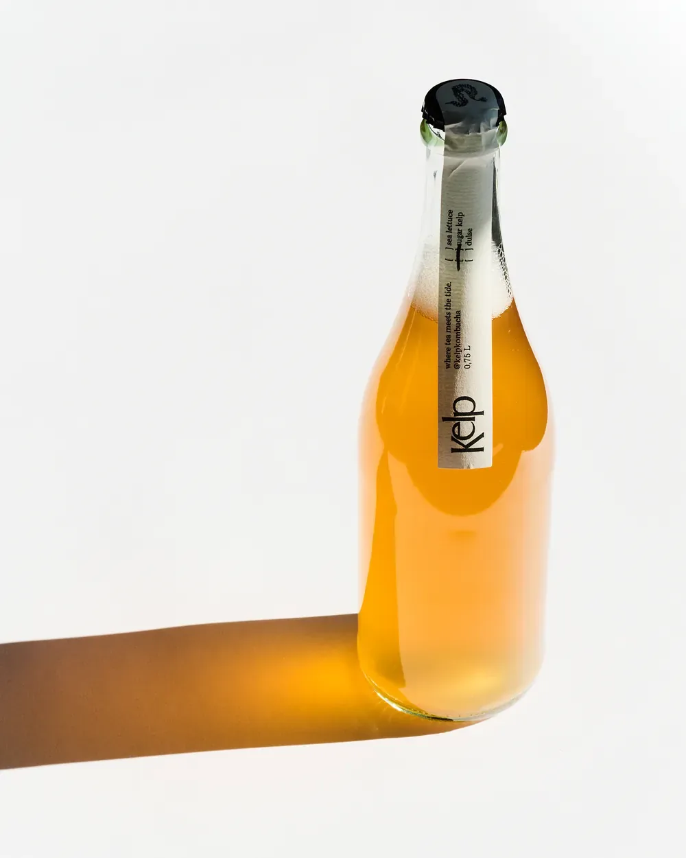 A bottle of sugar kelp kombucha in low sun, casting a long amber shadow